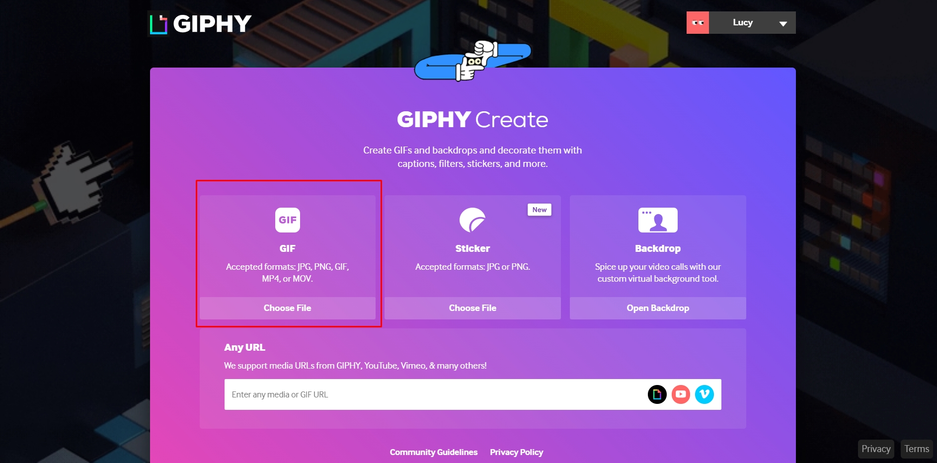 Aprenda a incluir gifs em suas fotos com o serviço Giphy - Canaltech